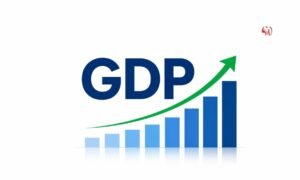 The Economic Evolution